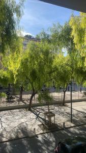 Spacieux 2 pieces au Port de Nice في نيس: جلسة تحت شجرة في حديقة +7 صور