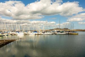 a bunch of boats docked in a harbor at Modern Studio by the Marina in Dublin