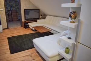 TV a/nebo společenská místnost v ubytování Apartmány pod Prašivou