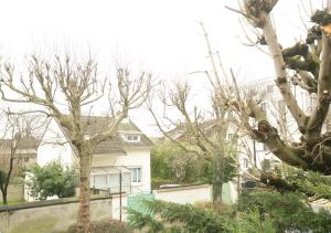 a group of trees in front of a house at Cozy et bien équipé près de Paris in Saint-Maur-des-Fossés