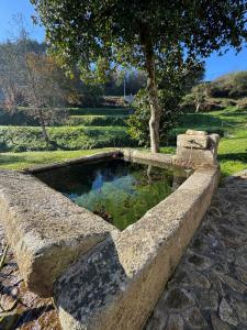 a stone fountain with a pond in a park at As Casas Do BomPai - Las Oliveiras in São Julião +5 photos