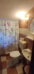 a bathroom with a white toilet and a sink at Apartments Vlado in Rogač +20 photos
