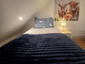 Letto o letti in una camera di St Kevins Cottage