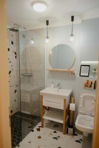 un bagno con lavandino, doccia e WC di Pensiune Agroturistica Molidu a Almaş