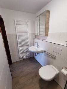 un bagno bianco con un water e un lavandino di FW Einfeldt a Hinrichsdorf