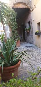 Fotografie z fotogalerie ubytování CasaFraBorgo v destinaci Sacrofano + 22 fotografií