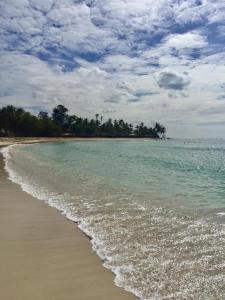 a beach with the ocean and trees in the background at Perla Marina in Boca Chica