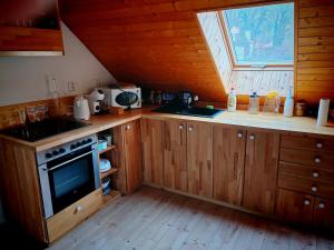 Kuchyň nebo kuchyňský kout v ubytování apartmán Sázava
