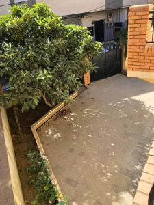 a driveway with a tree in front of a house at Appartement dans belle maison à Bejaia centre in Bejaïa