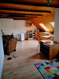 Kuchyň nebo kuchyňský kout v ubytování apartmán Sázava + 1 fotografie