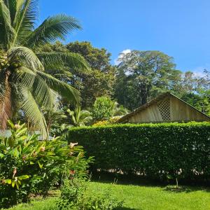 Aed väljaspool majutusasutust La Rana De Cahuita