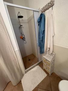 a bathroom with a shower and a toilet at Il Paradiso è qui in SantʼAntìoco