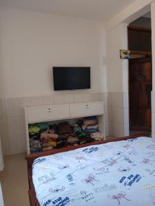 TV a/nebo společenská místnost v ubytování Hidalgo Explorers Home