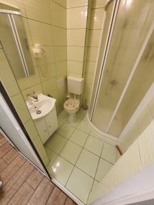 een kleine badkamer met een douche en een toilet bij ChicStudio feel at home in Galaţi