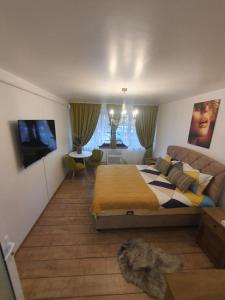 een slaapkamer met een bed en een televisie. bij ChicStudio feel at home in Galaţi