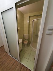 een badkamer met douche en toilet bij ChicStudio feel at home in Galaţi +39 foto's