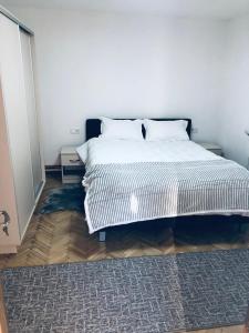 Ένα ή περισσότερα κρεβάτια σε δωμάτιο στο Casa Petrutiu1