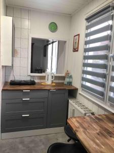 a kitchen with a counter with a sink and a mirror at Gästehaus mit Garten in Blankenfelde +10 photos