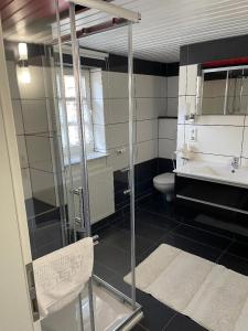 a bathroom with a shower and a toilet and a sink at Gästehaus Zum Salztrippler in Rumbach