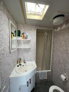 a bathroom with a sink and a shower and a toilet at Mobil Home Saint Jacut De La Mer in Saint-Jacut-de-la-Mer