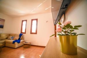 Telewizja i/lub zestaw kina domowego w obiekcie Agradable y familiar, con piscina "Casa Inima"