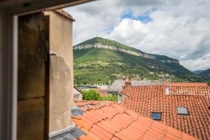 une vue sur une montagne depuis les toits des bâtiments dans l'établissement La Bellevue en plein du coeur centre-ville avec wifi, à Millau