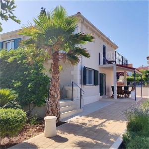 a palm tree in front of a house at Villa Mária Marta in Mirce