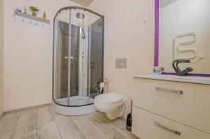 a bathroom with a shower and a toilet at Gîte Chez Angela in Bar-sur-Aube