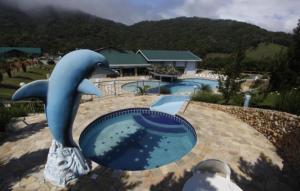 eine Statue eines Delphins neben einem Pool in der Unterkunft Capivari ecoresort residence in Campina Grande do Sul + 17 Fotos