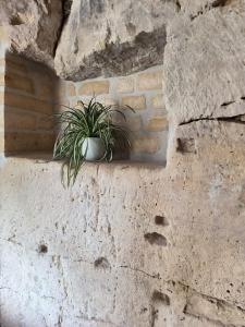 Fotografie z fotogalerie ubytování La p'tite troglo v destinaci Gouvieux
