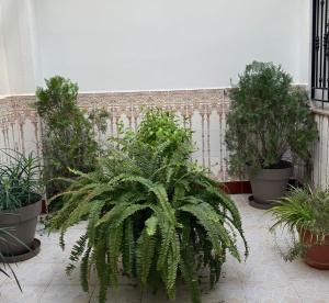 Zahrada ubytování Hotel Ciudad Pozo Alcón