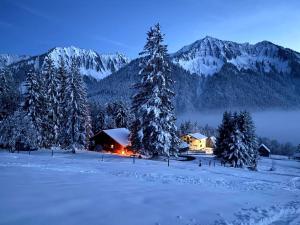 Holiday Home Runnimoos-3 by Interhome during the winter