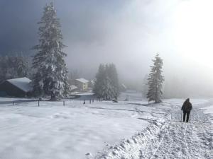 Holiday Home Runnimoos-3 by Interhome during the winter