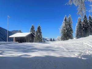 Holiday Home Runnimoos-3 by Interhome during the winter