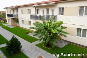 an apartment building with a palm tree in the courtyard at Vig Apartments in Timişoara