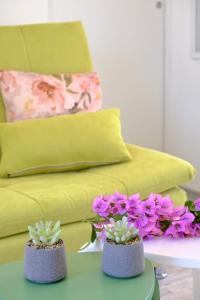 two plants on a table in front of a yellow couch at Olive Garden Home with Jacuzzi and Privacy in Mirce
