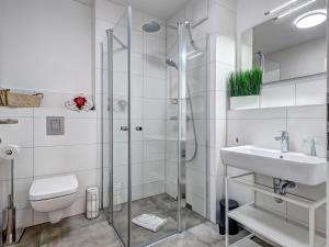 een badkamer met een douche, een toilet en een wastafel bij Bersteinquartier BQ 10c in Kolpinsee