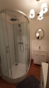 a shower with a glass door in a bathroom at Confortable chalet au calme à l'étang du stock in Langatte