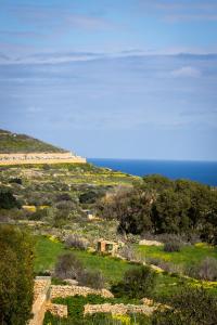 a view of a field with the ocean in the background at Il figolla b&b in Xagħra