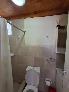 Un baño con inodoro blanco y ducha. en Marina Bella Habitación 2, en Rada Tilly