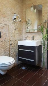 ein Badezimmer mit einem WC, einem Waschbecken und einem Spiegel in der Unterkunft Apartments Rino Lux in Sveti Stefan