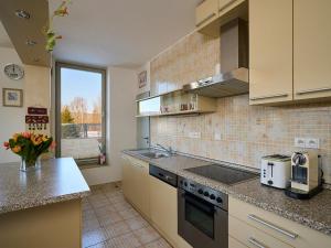 Η κουζίνα ή μικρή κουζίνα στο Apartment Čertovka-4 by Interhome +65 φωτογραφίες