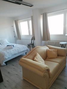a living room with a couch and a bed at Entre 2 Rives Strasbourg-Kehl in Kehl am Rhein