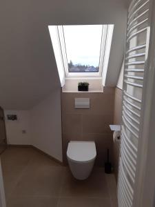 a bathroom with a toilet and a window at Oderbruch Ferienwohnung Am Speicher in Neulewin