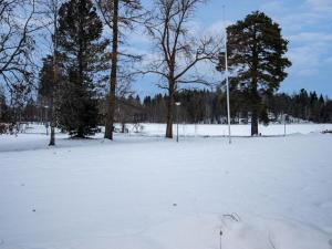 ein schneebedecktes Feld mit Bäumen und einer Flagge in der Unterkunft Holiday Home Kylpylä-hotelli- room 145 by Interhome in Ikaalinen