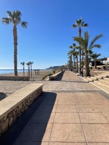 モハカルにあるMojacar Playaの浜辺のヤシの木が並ぶ歩道