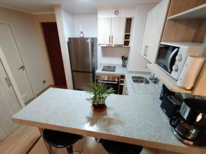 Fotografie z fotogalerie ubytování APART CENTRO CHILLÁN Departamentos v destinaci Chillán