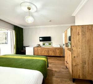 a hotel room with a bed and a television at Armagan Suite Taksim in Istanbul