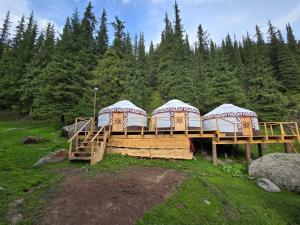 three tents on a wooden bridge in a field at "Ethno Yurt Camp Argymak" Altyn Arashan in Mineralʼnyy Istochnik Altyn-Arasan