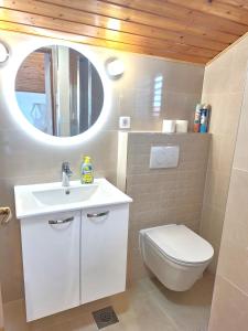 a bathroom with a toilet and a sink and a mirror at Apartments Boris in Zaton